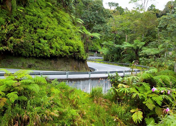 Road through the Cameron Highlands
