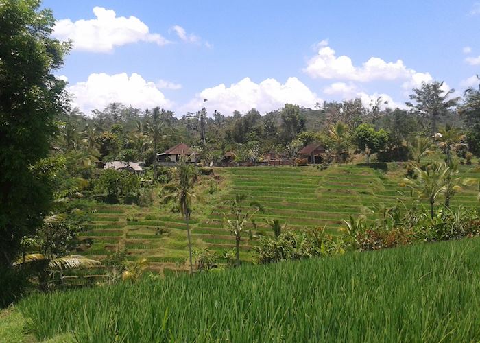 Jatiluwih Ubud