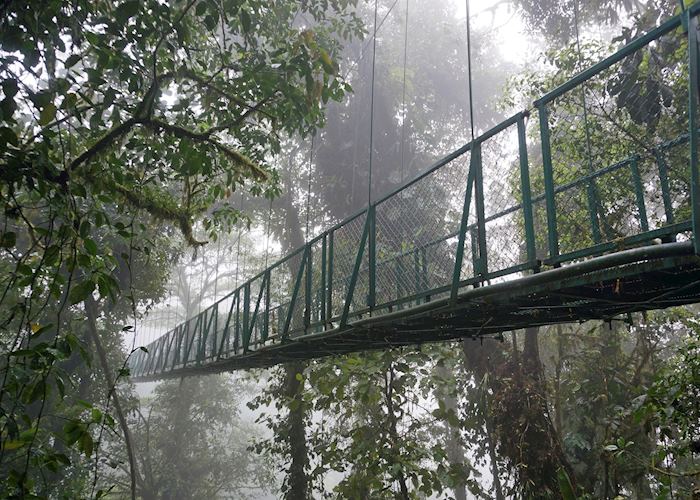 Suspended bridge at Monteverde, Costa Rica