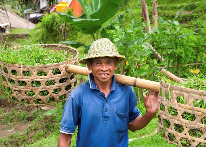 Farmer, Ubud, Bali