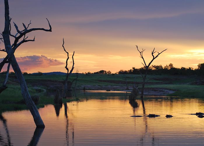 Sun-downers with the hippos on Lake Kariba