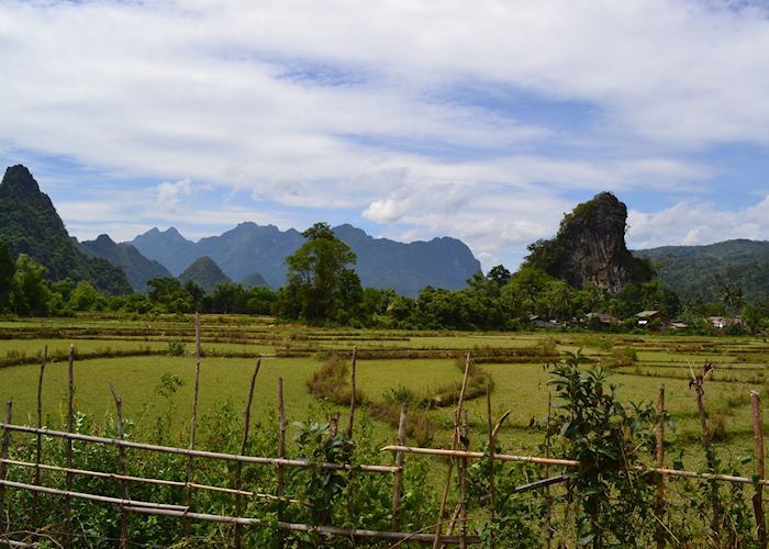 Rice Paddies, Vang Vieng