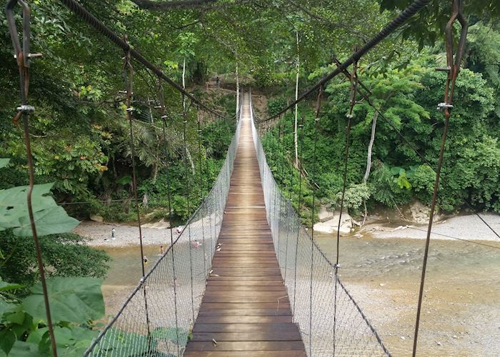 Bridge over to Jungle Lodge and Mega Inn, Tangkahan, Sumatra