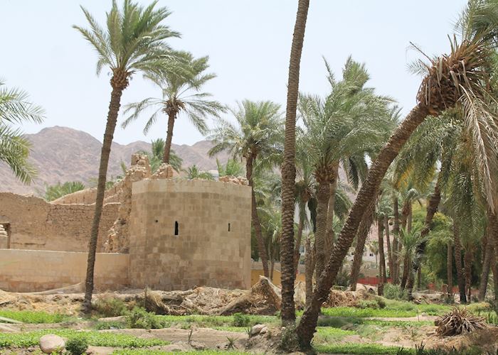 Aqaba Fort