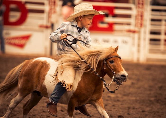 Calgary Stampede, Calgary