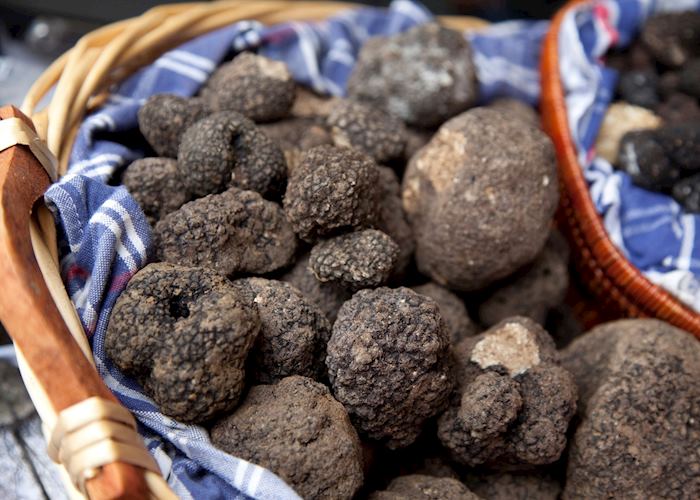 Fresh truffles, Italy