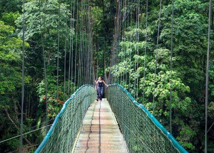 Suspension Bridge at Selva Verde
