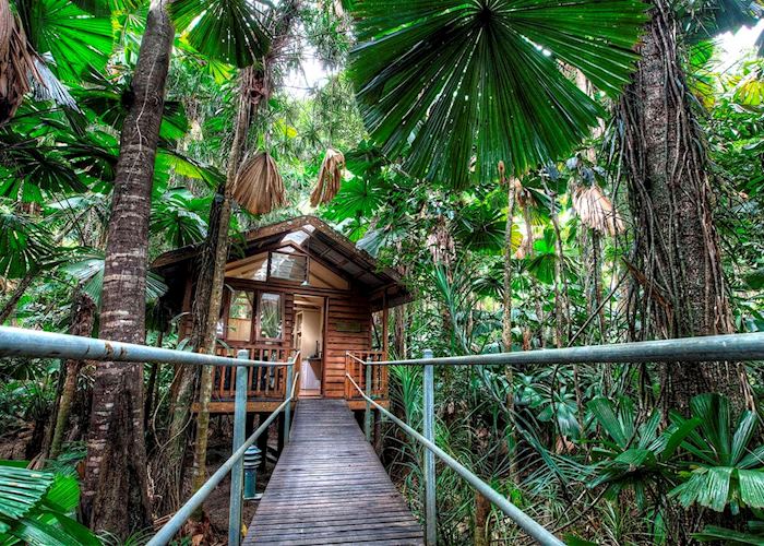 Daintree Wilderness Lodge, Daintree & Cape Tribulation