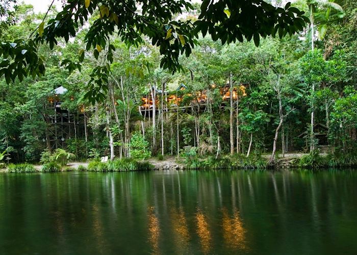 Silky Oaks, Daintree & Cape Tribulation