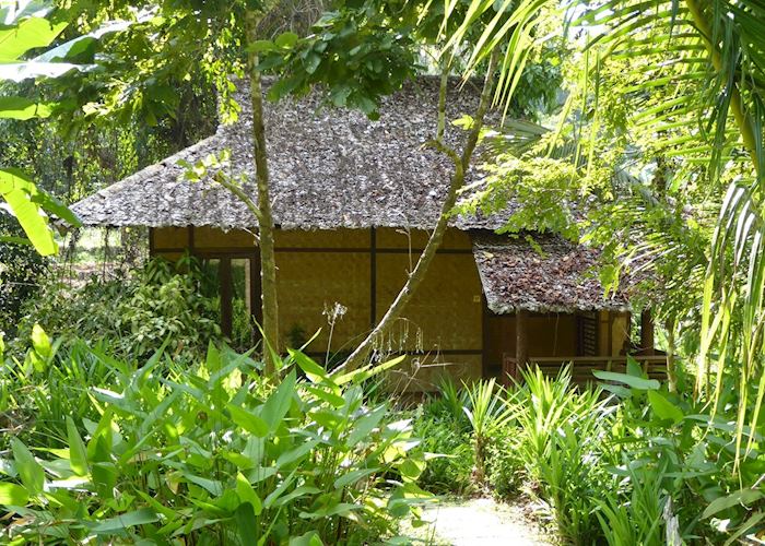 Bungalow, The Fern Resort