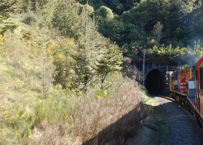 Tranz Alpine Train 