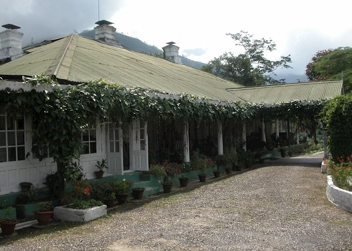 Glenburn Tea Estate nr Darjeeling