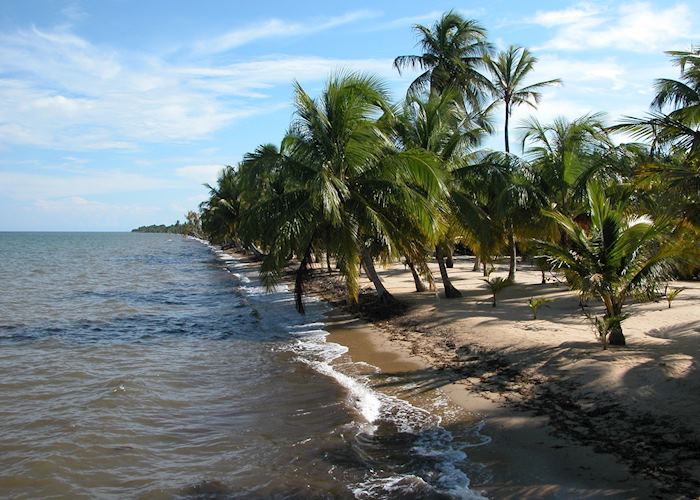 Coastal Belize