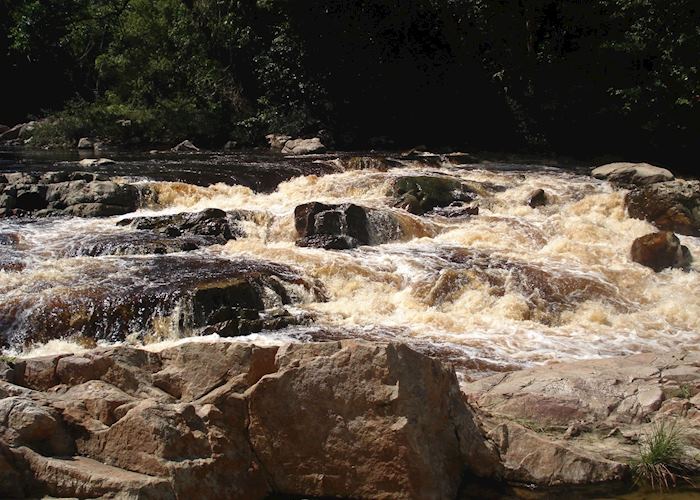 Taman Negara National Park, Malaysia