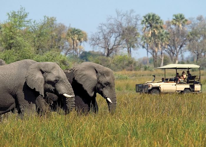 Game drive in the Abu Concession