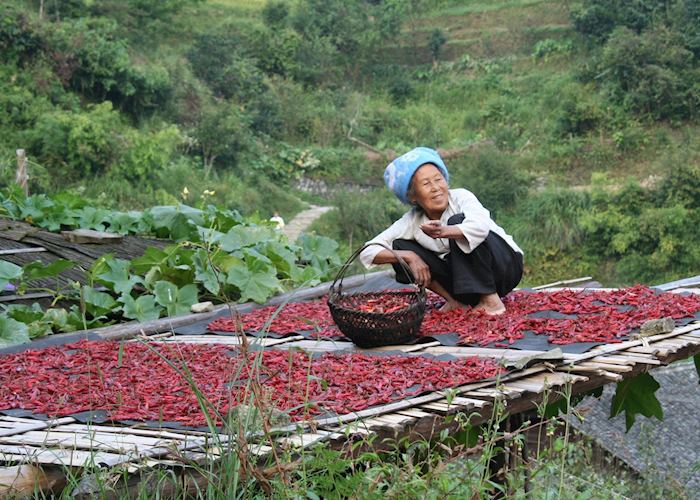 Old woman drying chillies