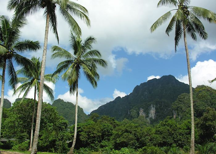 Khao Sok National Park, Thailand