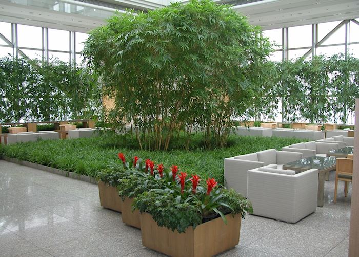 The Peak Lounge, Park Hyatt Hotel