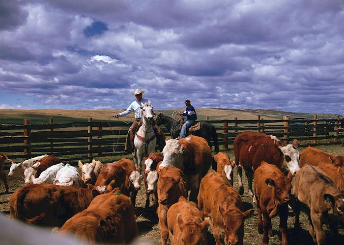 Visit Calgary on a trip to Canada Audley Travel US