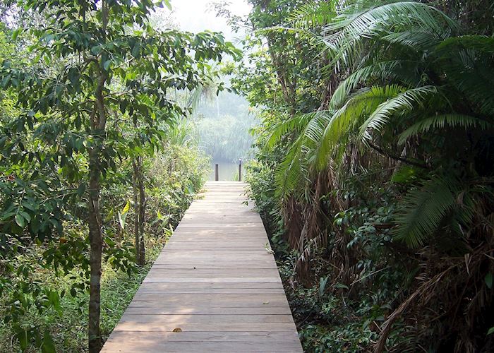Rimba Lodge, Tanjung Puting
