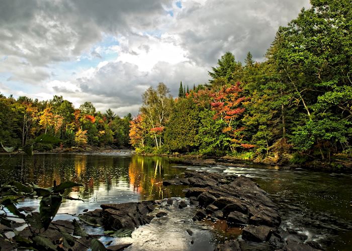 Algonquin Provincial Park, Ontario