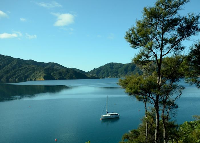 Bay of Many Coves, Picton & The Marlborough Sounds