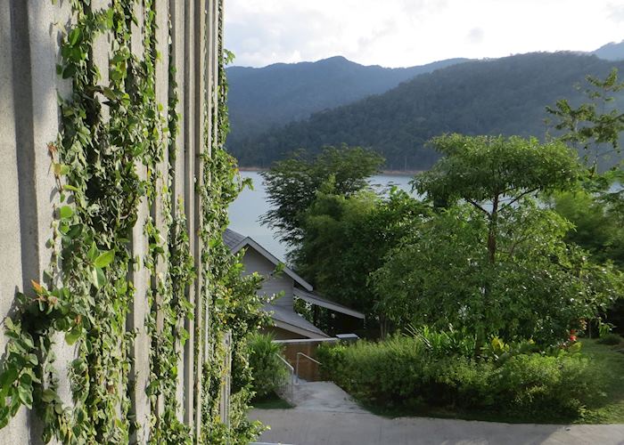 Eco friendly wallpaper at Belum Rainforest Resort