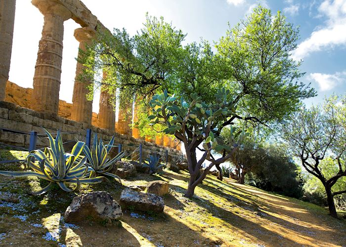 Temple of Juno, Agrigento