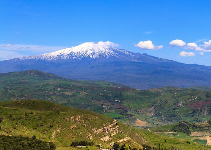 Slopes of volcano, Mount Etna