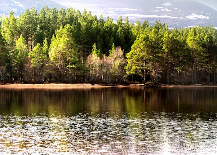 The Cairngorms National Park