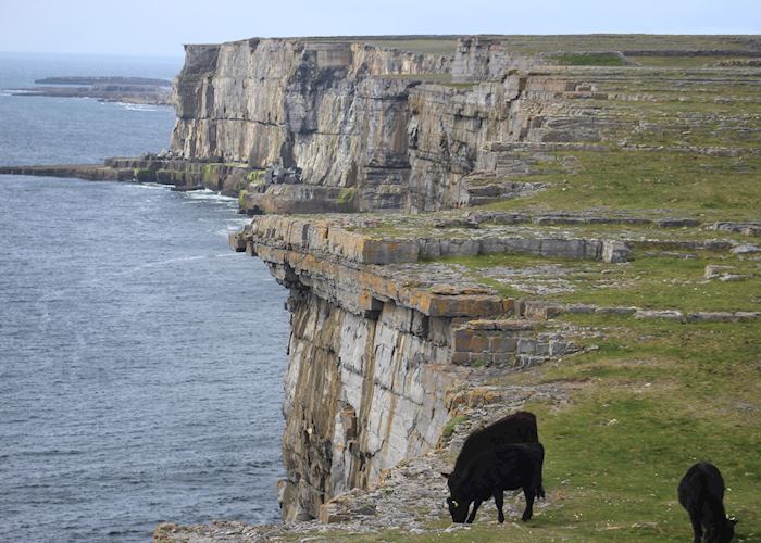 Inis Mor cliffs