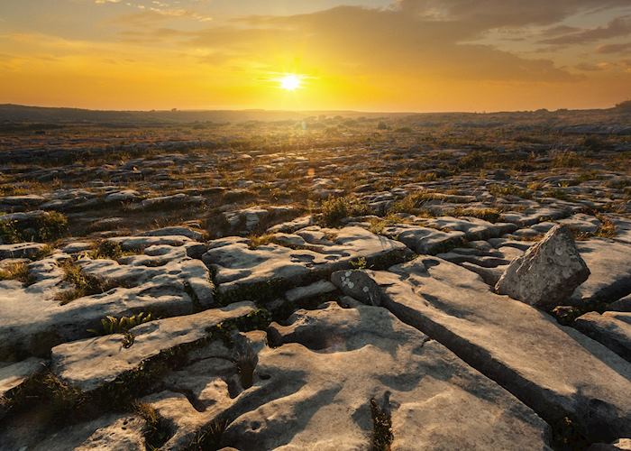 Stone desert in the Burren