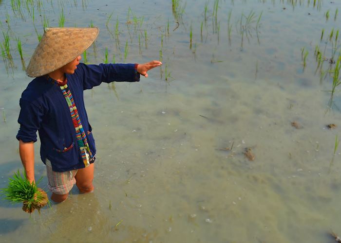 Living Land Rice experience, Luang Prabang
