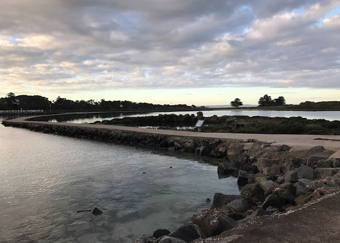 Griffitts Island, Port Fairy