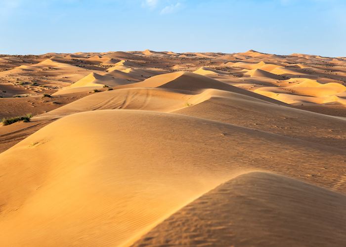 Desert, Oman