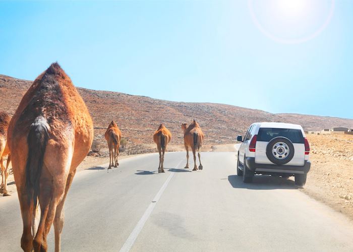 Traffic jam, Oman