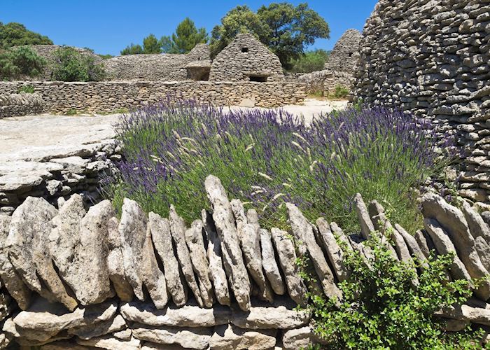 Lavender fields at Abbaye de Sénanque, Provence