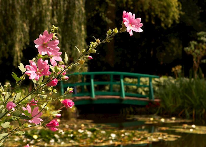 Gardens at Giverny, Normandy