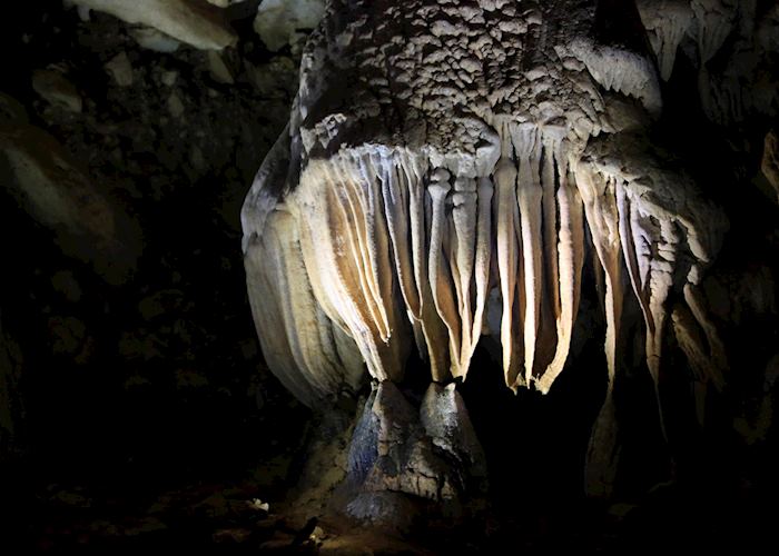 Octopus Cave stalactite, Mulu National Park