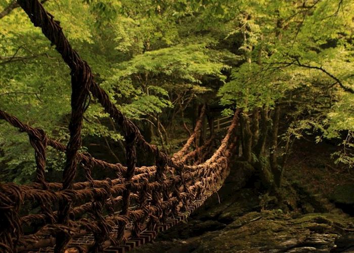 Iya Valley Vine Bridges, Tokushima