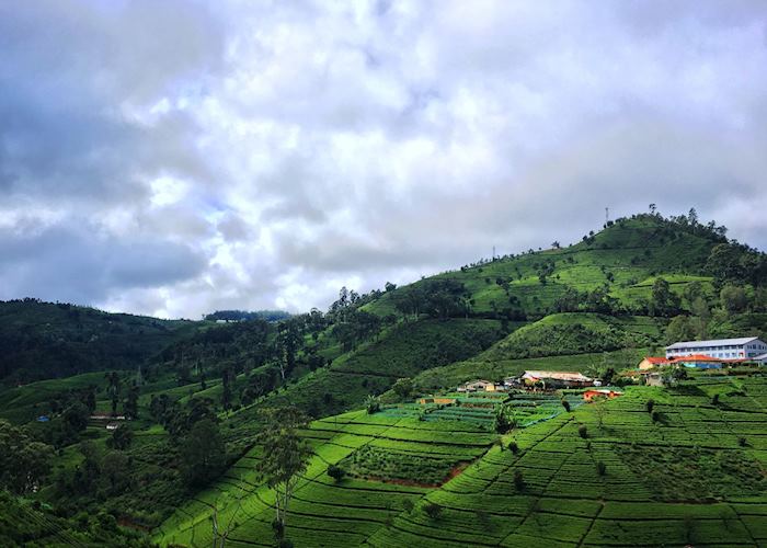 Nuwara Eliya