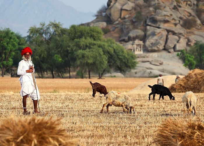 Rabari near Jawai Leopard Camp