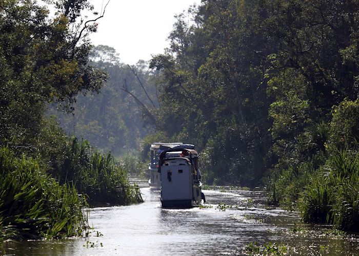 Klotok cruising down a river in Kalimantan
