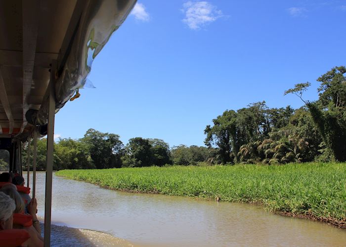 Tortuguero National Park - view from boat
