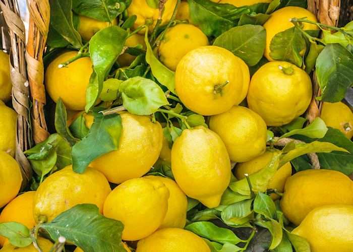 Lemons, Amalfi Coast