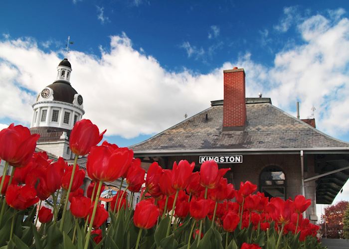 City Hall in Springs, Kingston