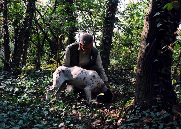 Truffle hunting and tasting lunch Audley Travel US