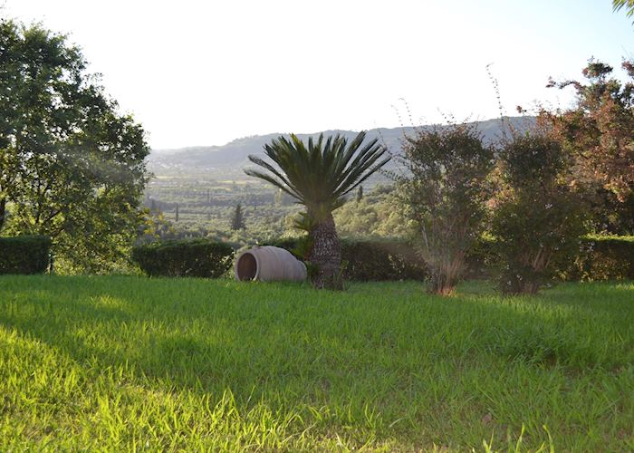 Dinner in a local home, Olympia