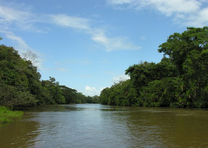 Rio Frio, Caño Negro Wildlife Refuge