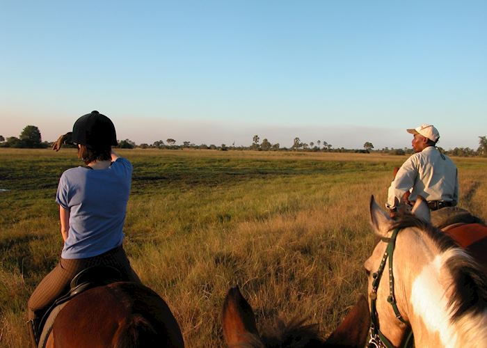 Riding safari from Macatoo Camp, Abu Concession